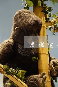 虚假宣传违法吗 虚假宣传违法吗