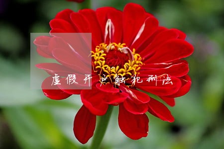 虚假开户触犯刑法 虚假开户触犯刑法