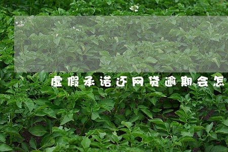 虚假承诺还网贷逾期会怎样 虚假承诺还网贷逾期会怎样