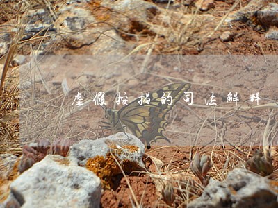 虚假按揭的司法解释