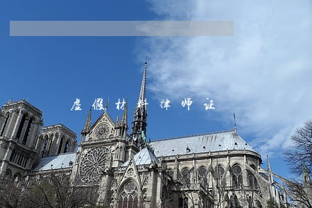 虚假材料律师证