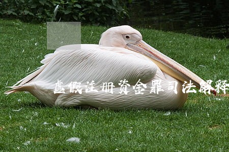 虚假注册资金罪司法解释
