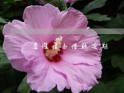 虚假理由借钱逾期 虚假理由借钱逾期