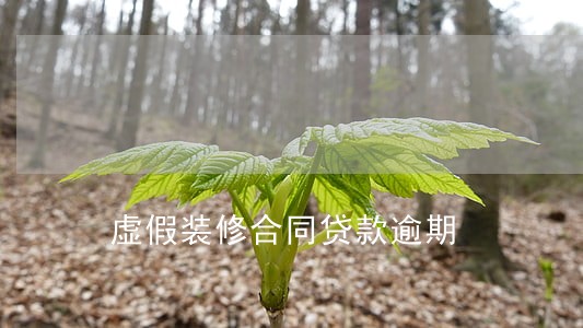虚假装修合同贷款逾期 虚假装修合同贷款逾期
