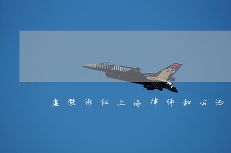 虚假诉讼上海律师和公证员