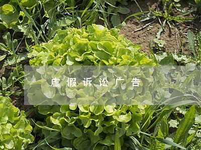 虚假诉讼广告 虚假诉讼广告