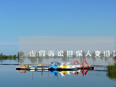 虚假诉讼担保人变借款人 虚假诉讼担保人变借款人