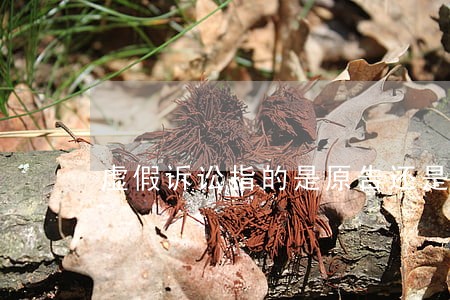 虚假诉讼指的是原告还是被告 虚假诉讼指的是原告还是被告