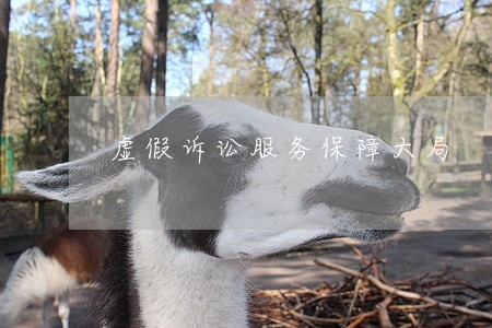 虚假诉讼服务保障大局 虚假诉讼服务保障大局