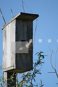 虚假诉讼检察院办案程序 虚假诉讼检察院办案程序