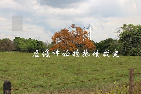 虚假诉讼物抵债裁定 虚假诉讼物抵债裁定