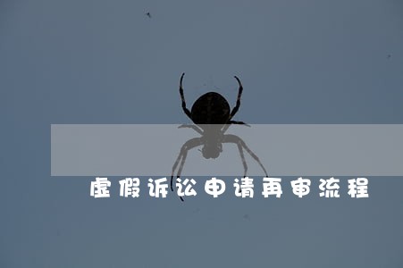虚假诉讼申请再审流程