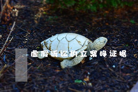 虚假诉讼的立案睁证据 虚假诉讼的立案睁证据