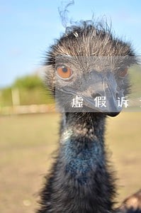 虚假诉讼结果在刑九之后 虚假诉讼结果在刑九之后