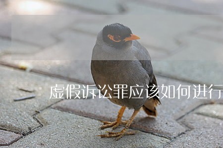 虚假诉讼罪应该如何进行认定 虚假诉讼罪应该如何进行认定