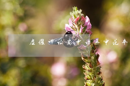 虚假诉讼高申请再审范本 虚假诉讼高申请再审范本
