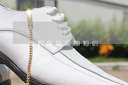 虚假贷款逾期短信 虚假贷款逾期短信