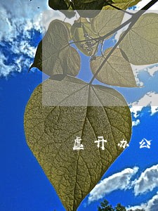 虚开办公用品违法 虚开办公用品违法