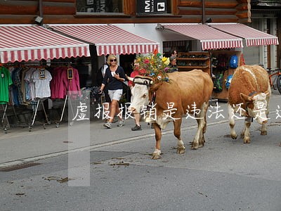 虚报报销是违法还是违规