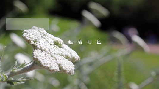 虚报统计数据刑法 虚报统计数据刑法