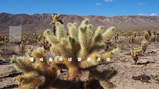 虚报身份证是否违法 虚报身份证是否违法