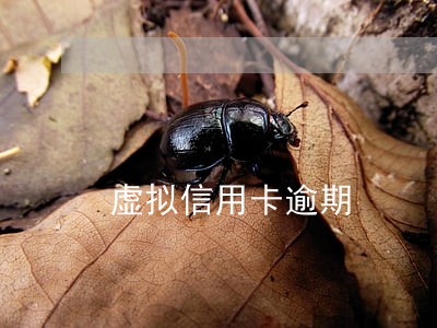虚拟信用卡逾期 虚拟信用卡逾期