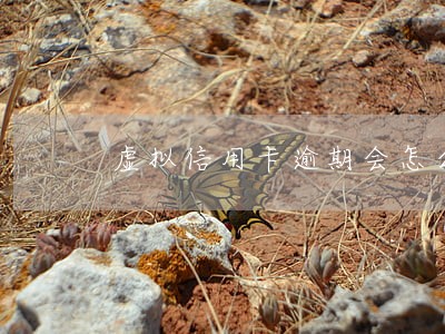 虚拟信用卡逾期会怎么样 虚拟信用卡逾期会怎么样