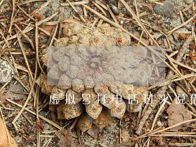 虚拟号打电话过来说借款逾期 虚拟号打电话过来说借款逾期