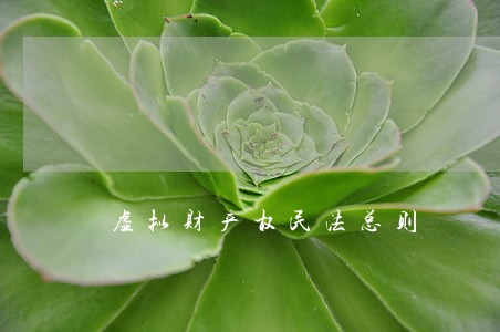 虚拟财产权民法总则 虚拟财产权民法总则