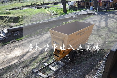 虚拟货币收入违法吗 虚拟货币收入违法吗