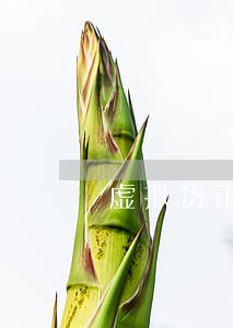 虚拟货币赚钱违法吗 虚拟货币赚钱违法吗