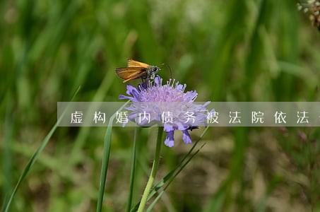 虚构婚内债务被法院依法驳回