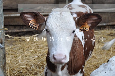 虚线压线行驶算违法吗 虚线压线行驶算违法吗