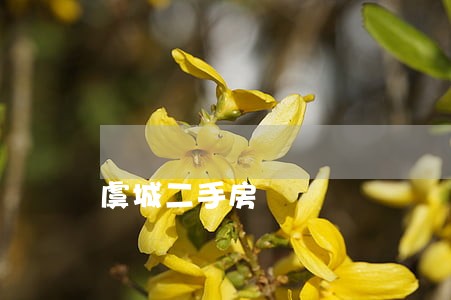虞城二手房 虞城二手房