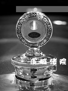 虞城法院执行局最新