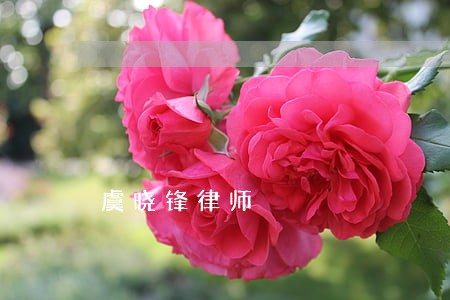 虞晓锋律师 虞晓锋律师