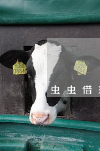 虫虫借款逾期一天还能借吗 虫虫借款逾期一天还能借吗