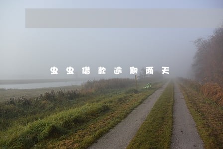 虫虫借款逾期两天 虫虫借款逾期两天