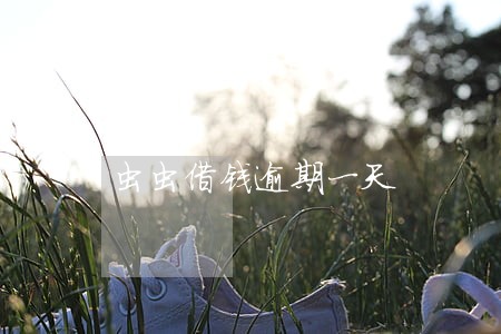 虫虫借钱逾期一天 虫虫借钱逾期一天