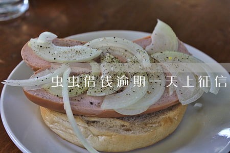 虫虫借钱逾期一天上征信吗 虫虫借钱逾期一天上征信吗