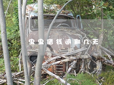 虫虫借钱逾期几天 虫虫借钱逾期几天