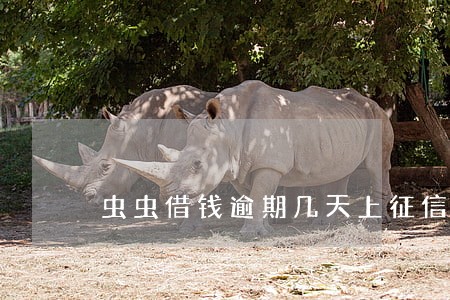 虫虫借钱逾期几天上征信 虫虫借钱逾期几天上征信