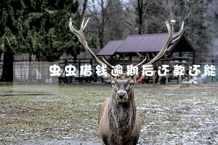 虫虫借钱逾期后还款还能借吗 虫虫借钱逾期后还款还能借吗
