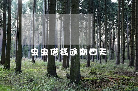 虫虫借钱逾期四天