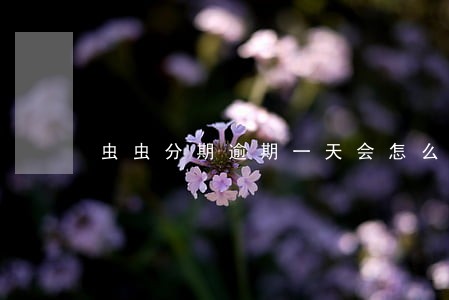 虫虫分期逾期一天会怎么样 虫虫分期逾期一天会怎么样