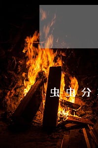虫虫分期逾期一年 虫虫分期逾期一年