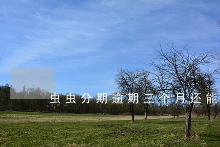 虫虫分期逾期三个月还能再借吗 虫虫分期逾期三个月还能再借吗