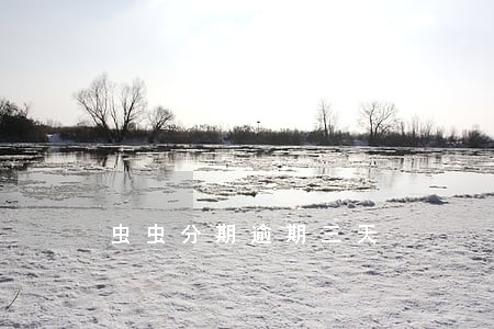 虫虫分期逾期三天 虫虫分期逾期三天