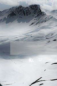 虹口一般经济债务律师收费 虹口一般经济债务律师收费