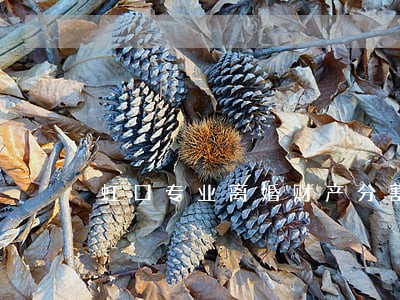 虹口专业离婚财产分割律师收费 虹口专业离婚财产分割律师收费
